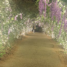 The walkway in to the facility.