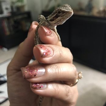 PetSmart - Love the new baby addition to our home!! - Pet Stores Near Me - Campbell, California PetSmart - Love the new baby addition to our home!! - Pet Stores Near Me - Campbell, California