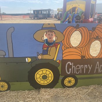 Cherry Acres - Pumpkin Patches Near Me - Bakersfield, California