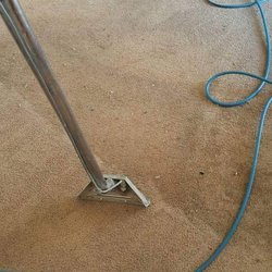 Boerema Steam Cleaning - Boerema Steam Carpet Cleaning 708-229-2440