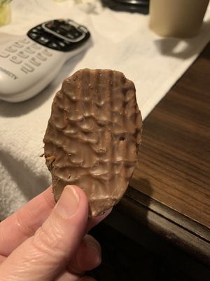 Bedré Fine Chocolate by null