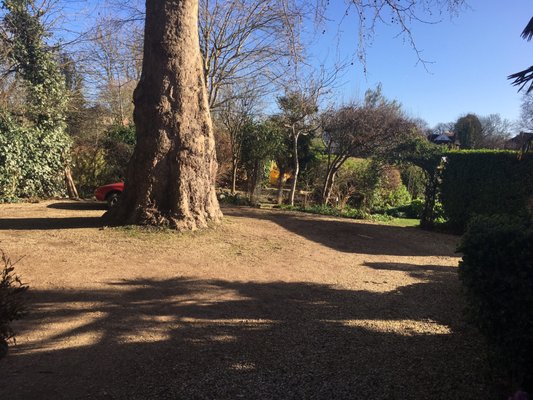 River Arts Club by null