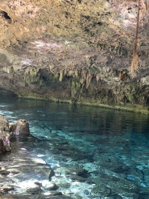Two Eyes Cenote by null