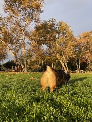 Arroyo Park by null