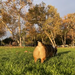 Arroyo Park