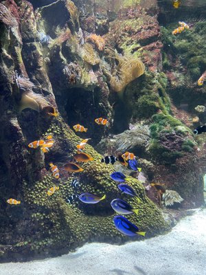 La Rochelle Aquarium by null