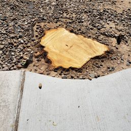 They took that stump to the ground all the way.
