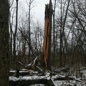 Veteran's Woods - When lightning strikes! #Thunderstorn #Lightning - Hiking Near Me - Romeoville, Illinois Veteran's Woods - When lightning strikes! #Thunderstorn #Lightning - Hiking Near Me - Romeoville, Illinois