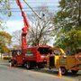 Photo of Dillon Tree Service