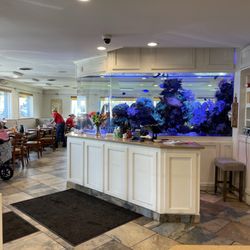 Cool aquarium!