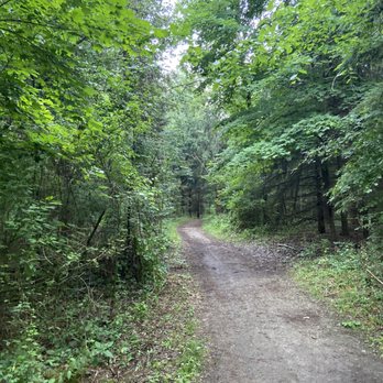 Lakeshore Park - Parks Near Me - Novi, Michigan