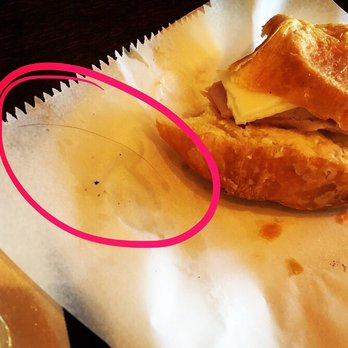 Argentina Bakery - Dark/grey hair was in the ham & cheese croissant =[ - Bakeries Near Me - Irving, Texas Argentina Bakery - Dark/grey hair was in the ham & cheese croissant =[ - Bakeries Near Me - Irving, Texas