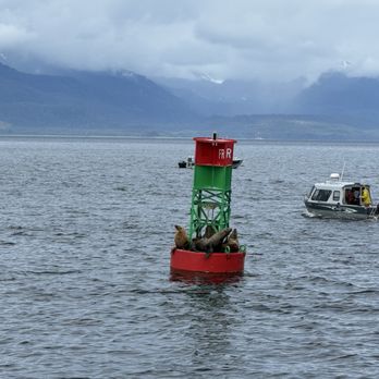 Alaska Tales - Whale Watching Tours Near Me - Juneau, Alaska