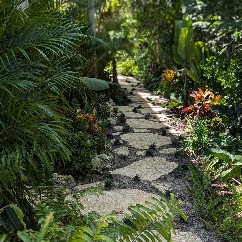 Top 10 Best Plants for the Florida Keys: Ultimate Guide to Thrive