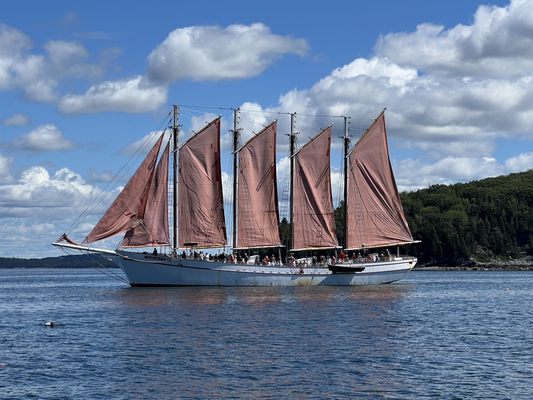 Lulu Lobster Boat Ride by null