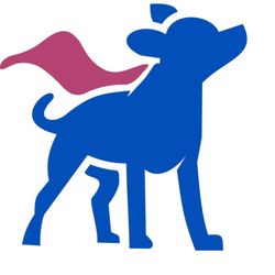 The Misfits Dog Rescue