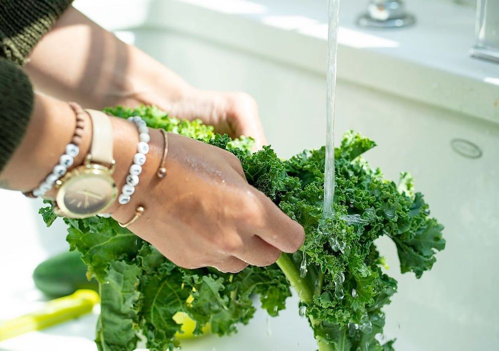 Food from Sunflower Juice & Fitness