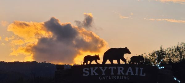 Gatlinburg SkyPark by null