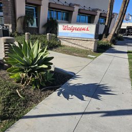 Exterior outside entrance of Walgreens - Walgreens sign - Tarzana, California Exterior outside entrance of Walgreens - Walgreens sign - Tarzana, California