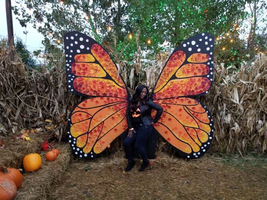 Jack's Pumpkin Pop-up by null