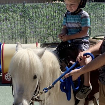 Early Works - Pony visit - Preschools Near Me - Temecula, California