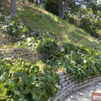 Lopez Landscaping - Hill side cleaning for fire season - Landscaping Near Me Lopez Landscaping - Hill side cleaning for fire season - Landscaping Near Me