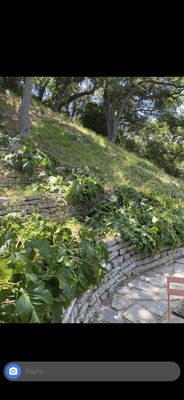 Hill side cleaning - Fire season is here , it’s time to clear out and stay up to code . Hill side cleaning - Fire season is here , it’s time to clear out and stay up to code .