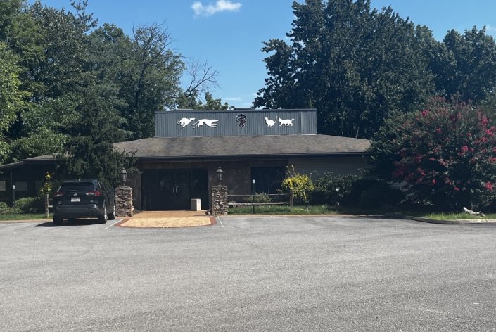 Powell Animal Hospital - pet boarding facility in Powell, TN