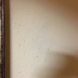 Food all over wall Food all over wall