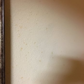 Hampton Inn & Suites Conroe - I-45 North - Food all over wall - Hotels Near Me - Conroe, Texas Hampton Inn & Suites Conroe - I-45 North - Food all over wall - Hotels Near Me - Conroe, Texas