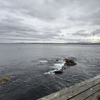The Fish Hopper - View from the room that extends over the water. So cool to see otters swimming out in the wild after seeing otters at the aquarium - Seafood Near Me - Monterey, California