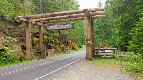 Gifford Pinchot National Forest by null