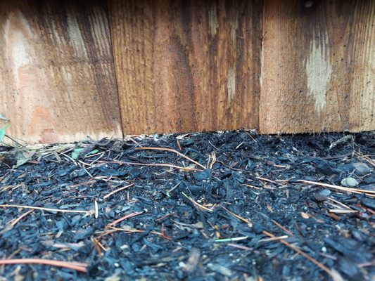 Eagle Fence Construction