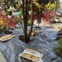Photo of R&S Landscaping Services