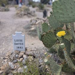 Boothill Graveyard & Gift Shop - Cactus, careful where you step