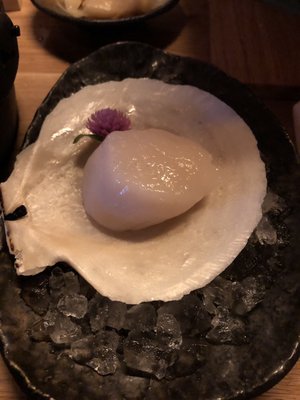 dipdipdip Tatsu-Ya by null