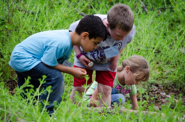 River Bend Nature Center by null