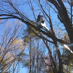 Ross Tree and Contracting, Inc