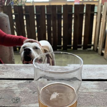 Lucky Labrador Brewing Co - Brewpubs Near Me - Portland, Oregon Lucky Labrador Brewing Co - Brewpubs Near Me - Portland, Oregon