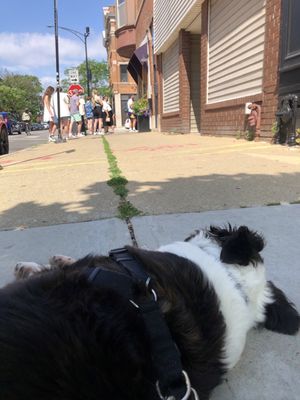 Necessary & Sufficient Coffee by null