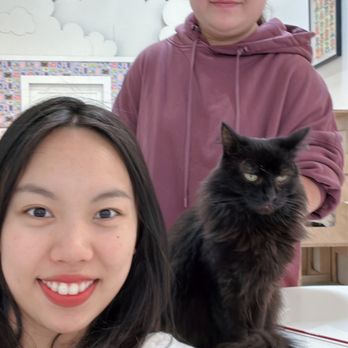 KitTea - Pet Adoption Near Me - San Francisco, California