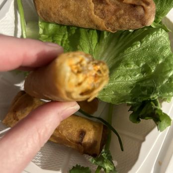 The Rolling Spring Roll - Over fried, taste like sawdust. - Vietnamese Near Me - Commack, New York The Rolling Spring Roll - Over fried, taste like sawdust. - Vietnamese Near Me - Commack, New York