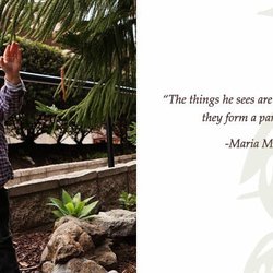 Marbella Montessori