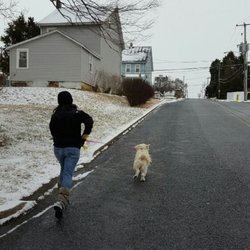 Paw Walk - On our daily run!