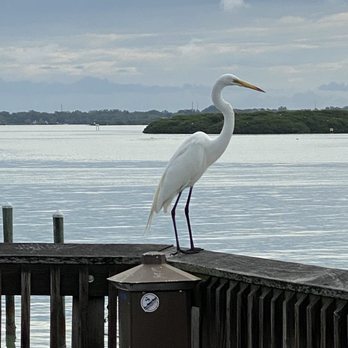 John's Pass - Shopping Centers Near Me - Madeira Beach, Florida