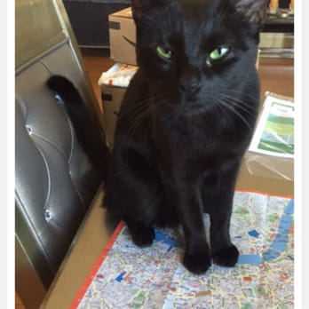 Mister Beever's Paws & Claws - Pet Sitting Near Me