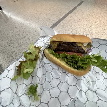 Custom Burgers - Burger with rotting lettuce - Burgers Near Me - Queens, New York