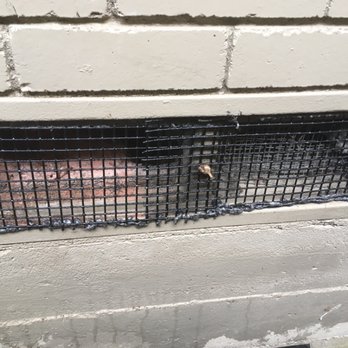 Hurd's Pest Control - Crawl space screen off. - Pest Control Near Me - Dallas, Texas Hurd's Pest Control - Crawl space screen off. - Pest Control Near Me - Dallas, Texas