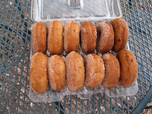 Curtis Orchard & Pumpkin Patch by null