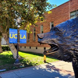 UCLA Store - Hill Top Shop